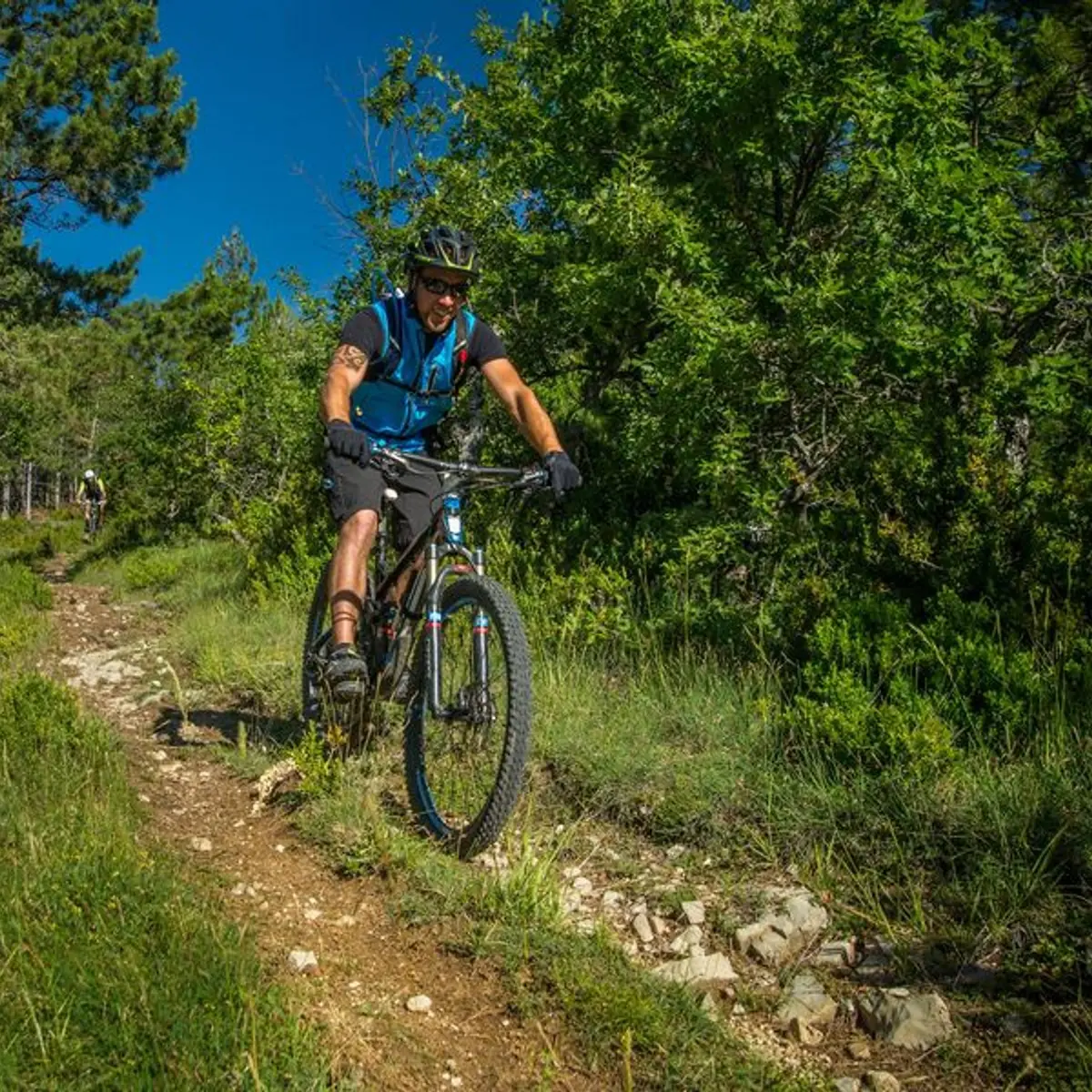 Traversée de la forêt Domaniale de la Méouge à VTT