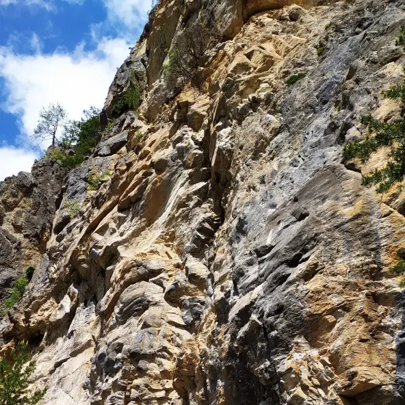 ecureuil grimper enfant escalade