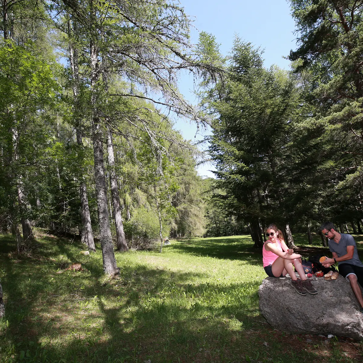 Notre-Dame de Bois vert