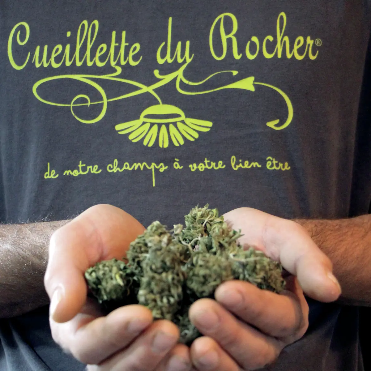 Eric logo CDR ++ flou weed