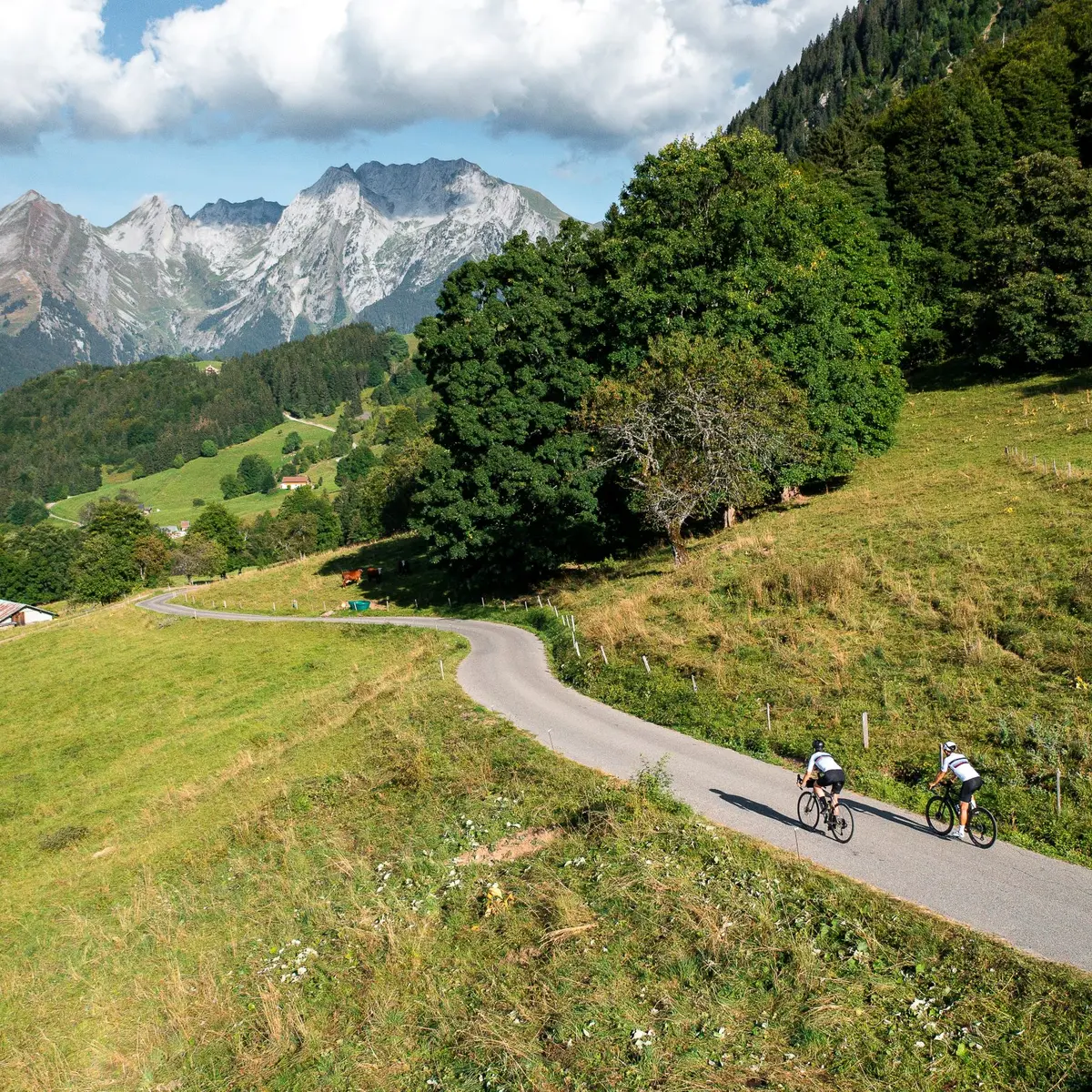 Cyclistes et paysage