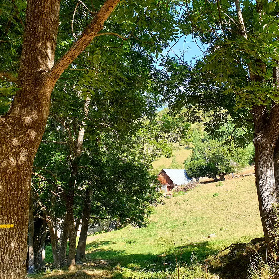 Randonnée de Montgros dans le Val d'Allos