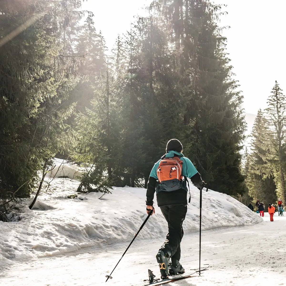 Itinéraire ski de randonnée La Serpentine