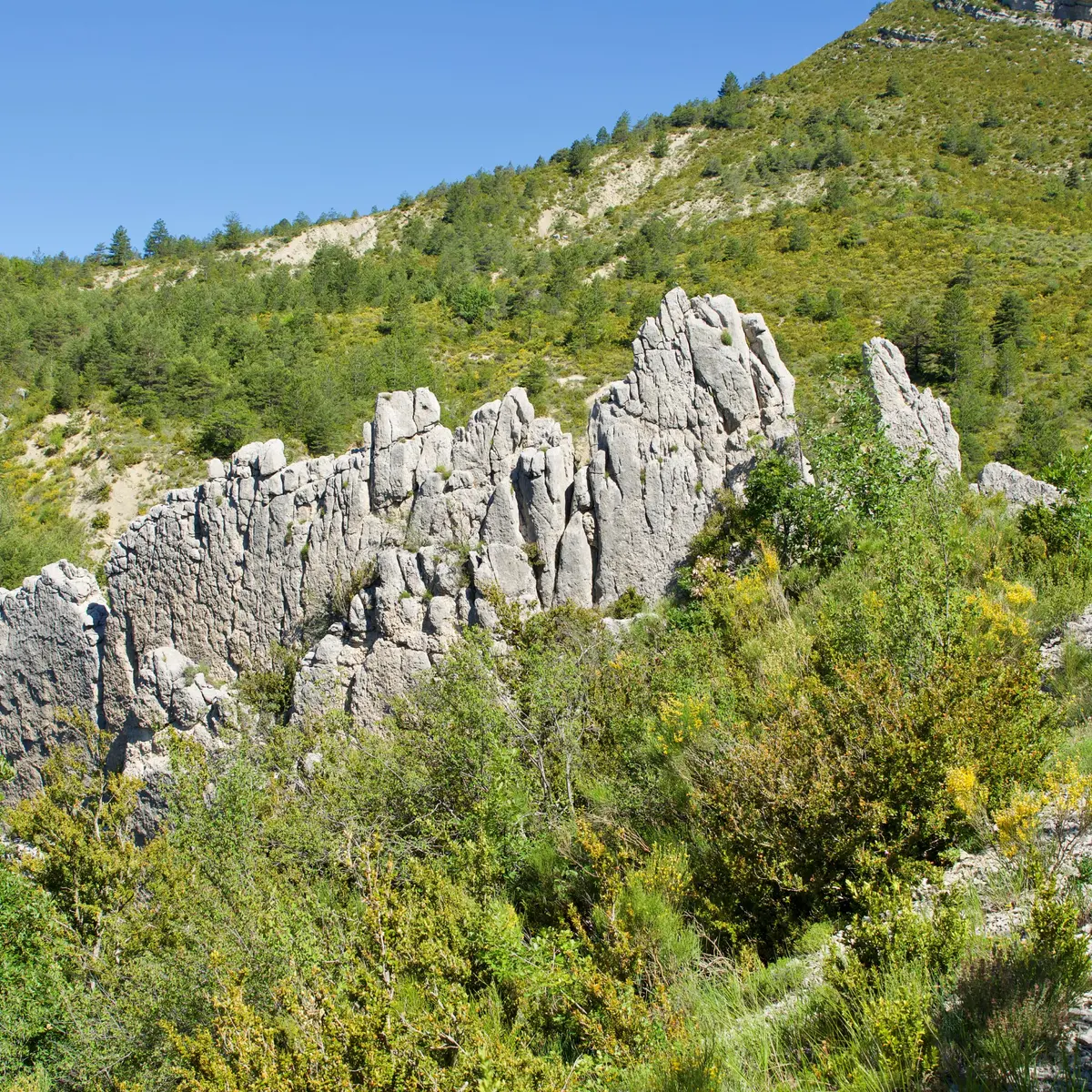 Balade de Pied Marcellin