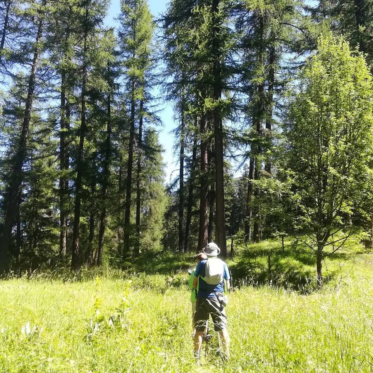 Randonneurs dans le Mélézin