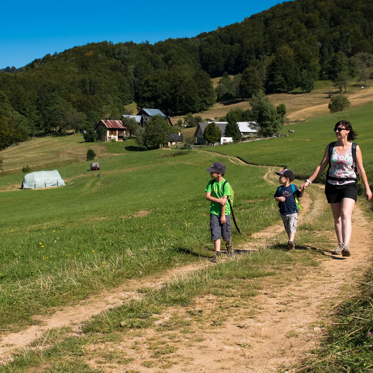 En revenant des Granges de Joigny