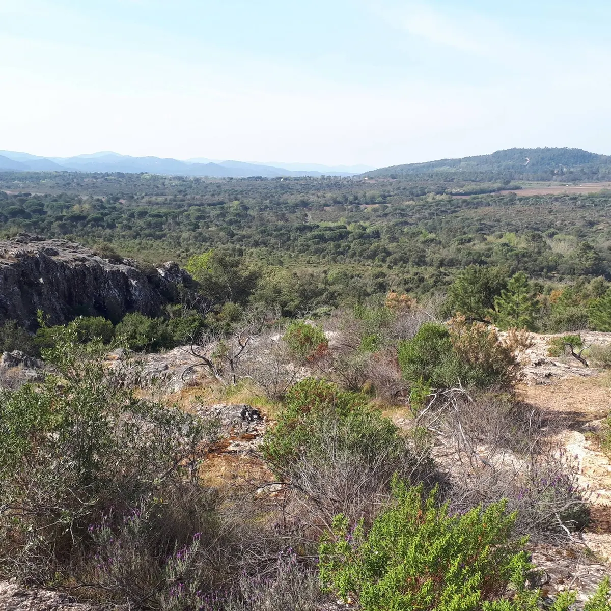 Point de vue sur le vallon et sa végétation méditerranéenne