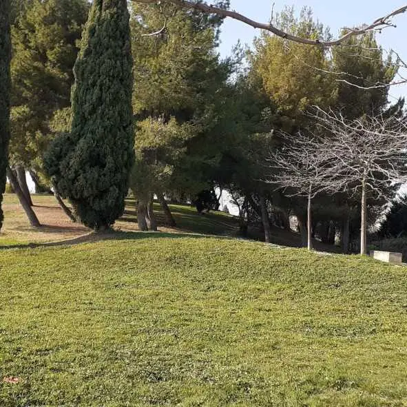Parc Chico Mendes