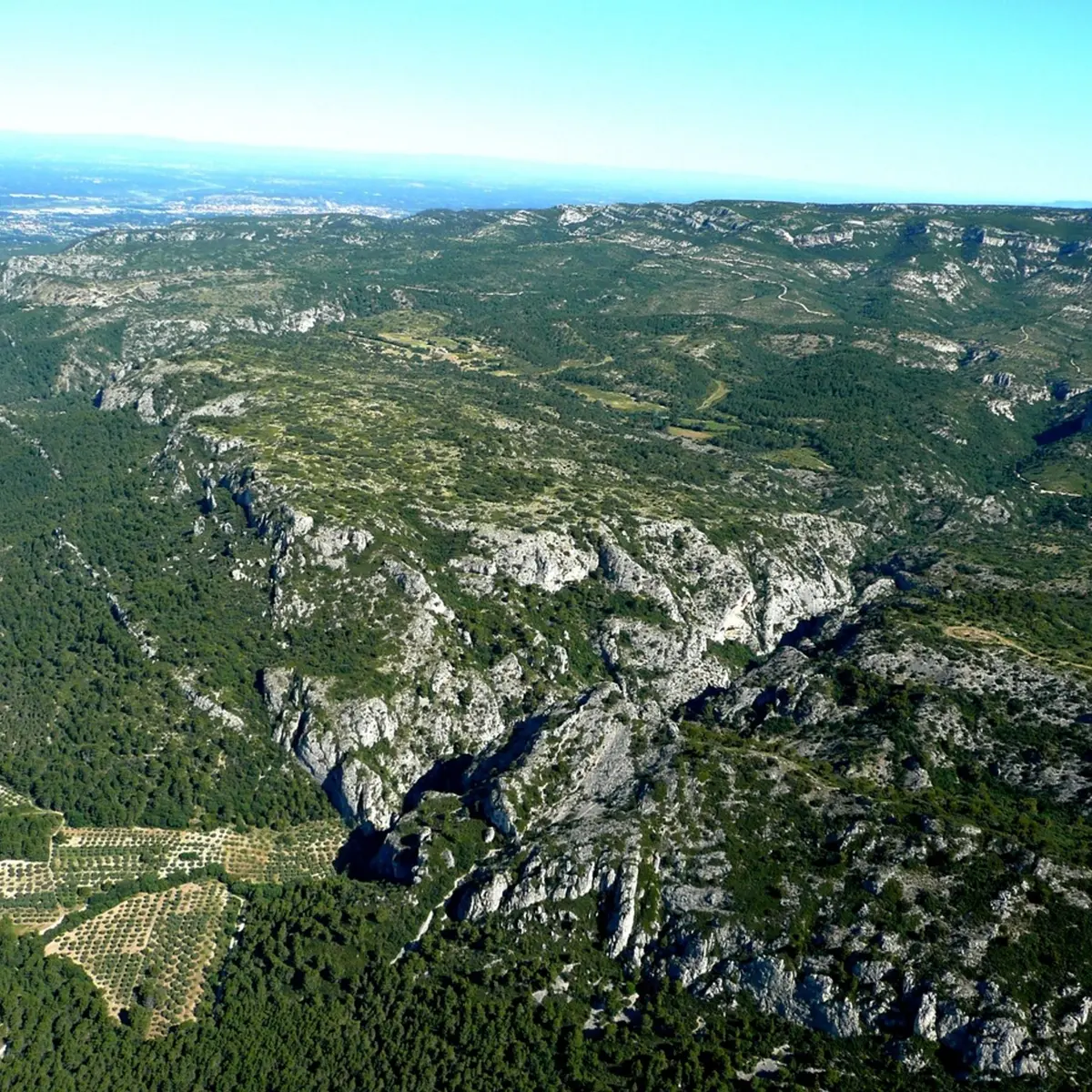 Craux des Mayorques et gorges de Régalon