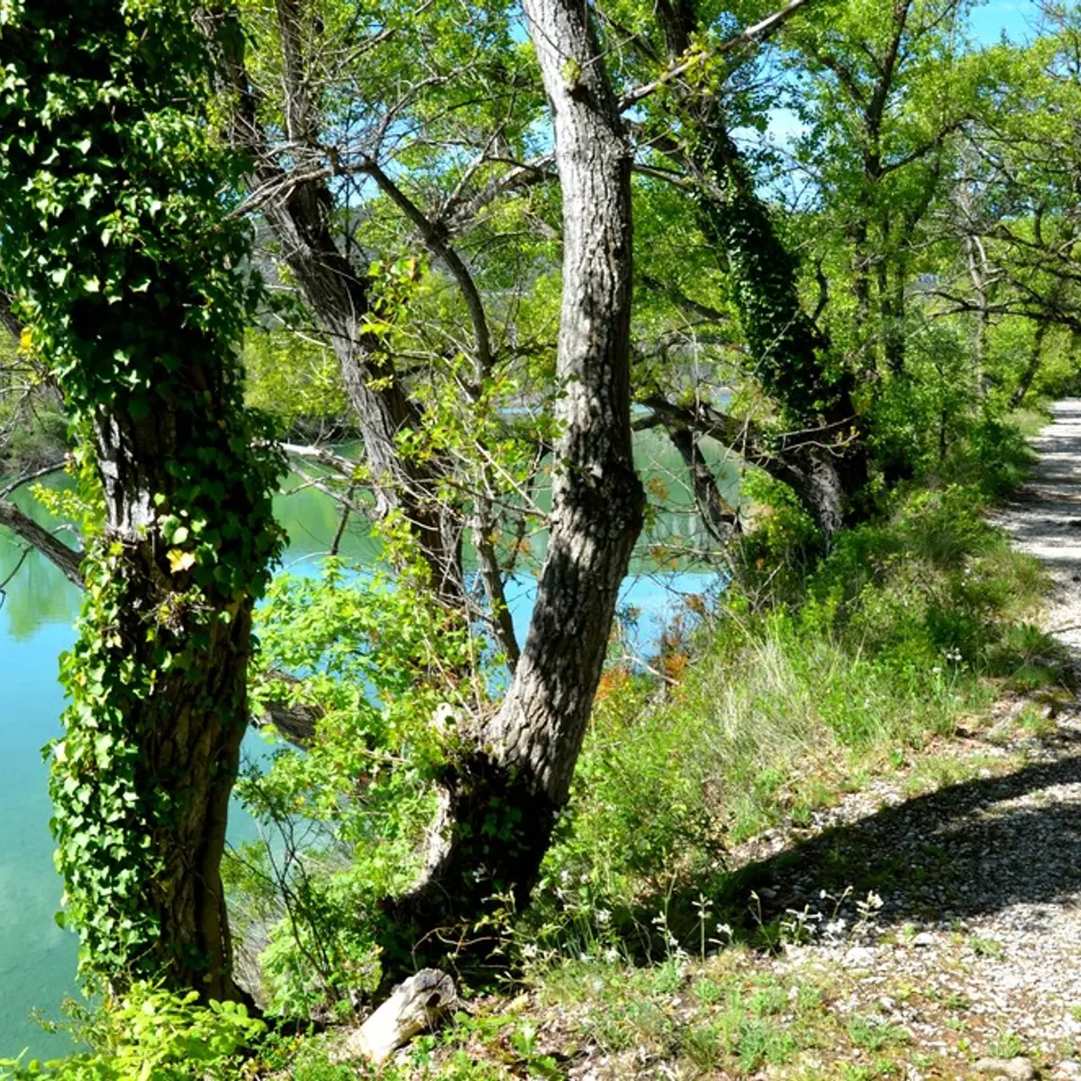 Sur le sentier de la Préhistoire