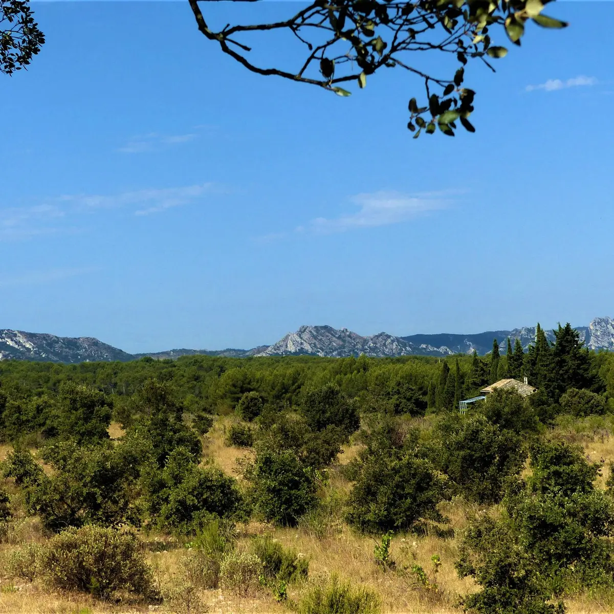 Paysage provençal