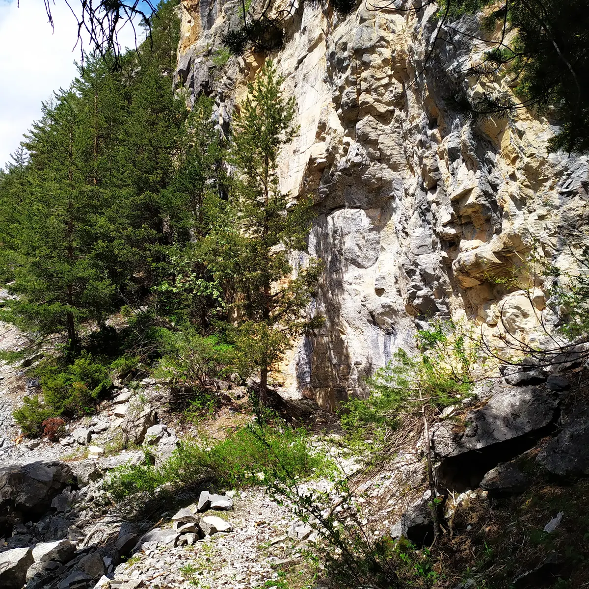 Escalade grimper en famille