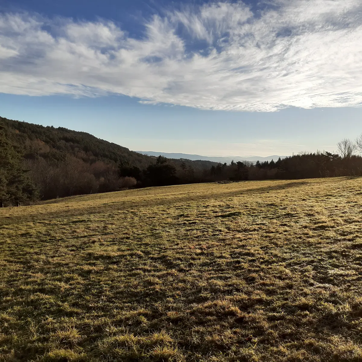 Vallon de la Curraize