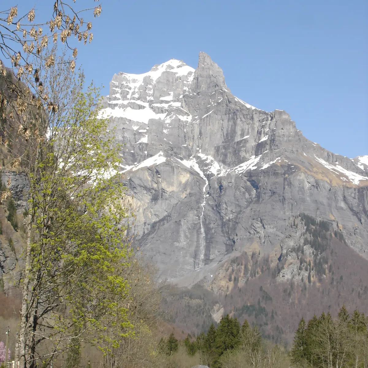 Fer à Cheval