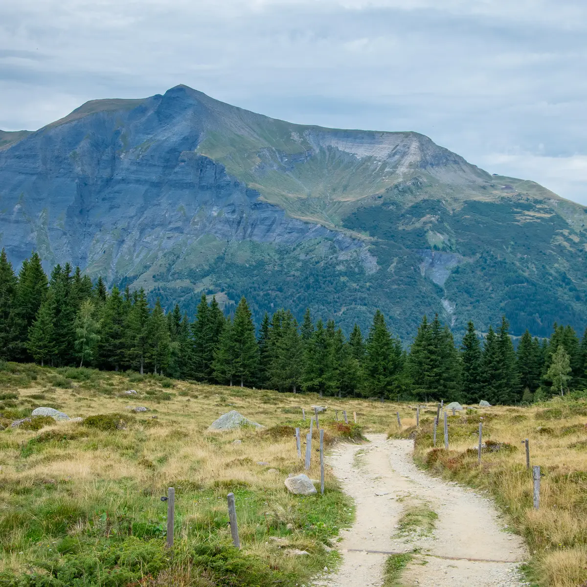 Le chemin des chalets du Truc