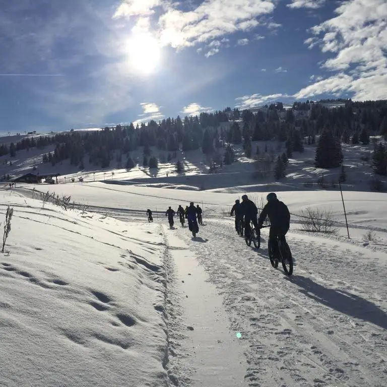 VTT électrique : sortie privatisée_Hiver_Le Grand-Bornand