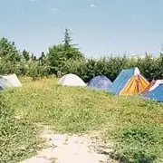 13G950621A_1287f402db89cf450f225970142a1956