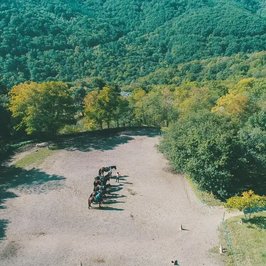 Ecole d'équitation de Chazeron