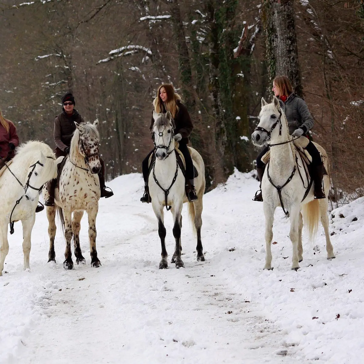 4 cavalières à cheval dans la neige en forêt