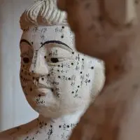 Séance de médecine traditionnelle chinoise_Val de Chaise