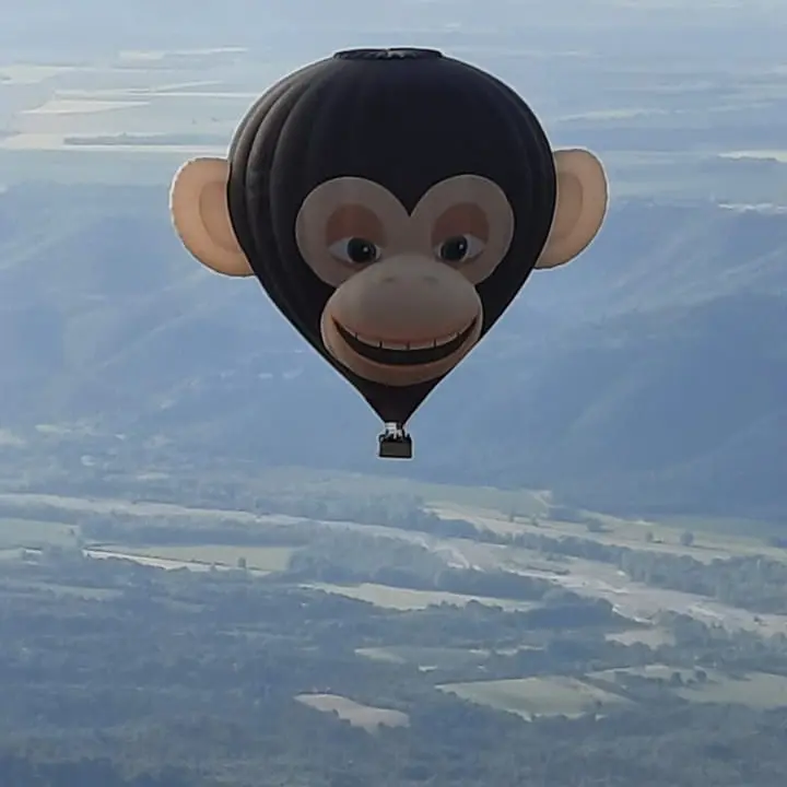 Montgolfière singe