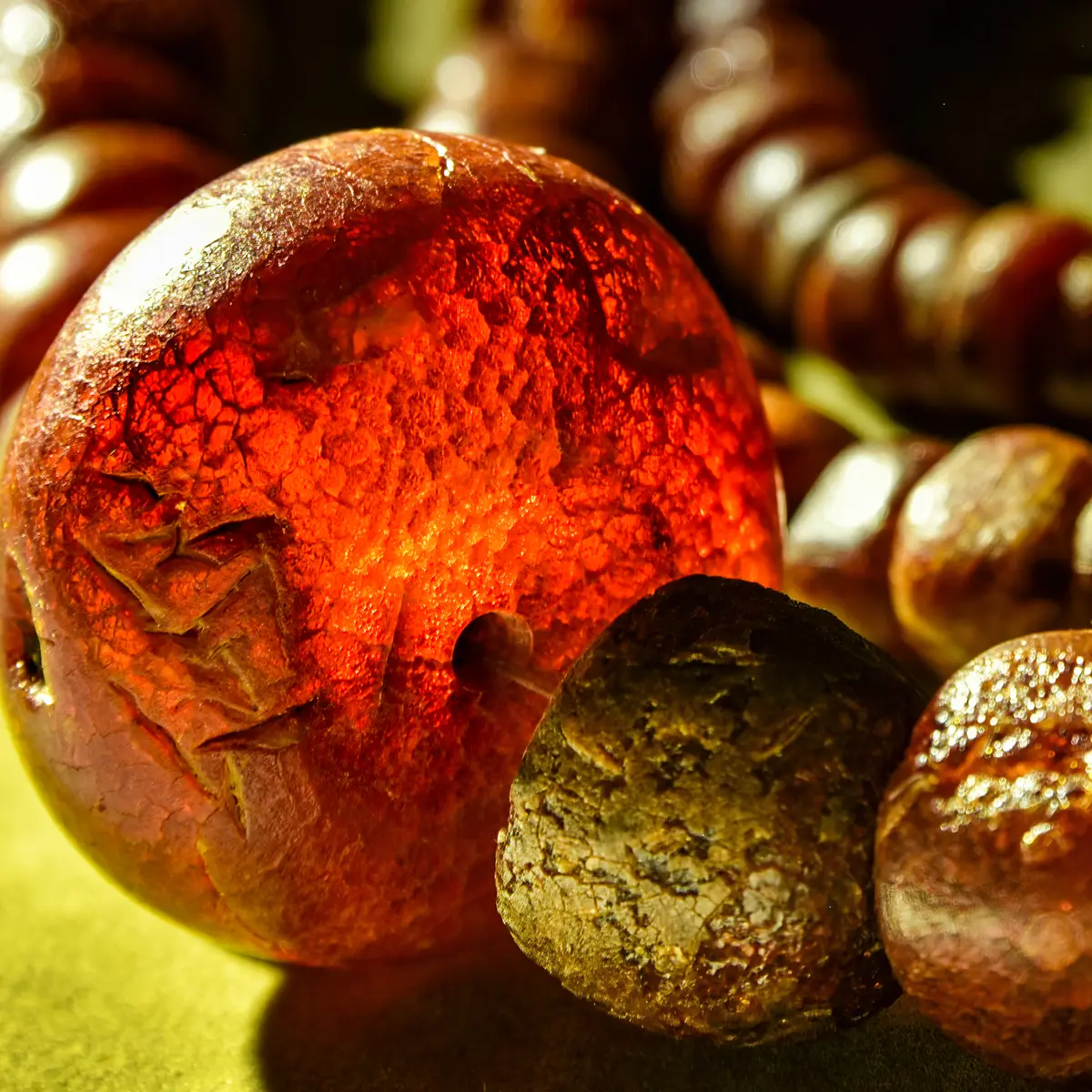 Visite du musée archéologique de Viuz-Faverges_Faverges-Seythenex