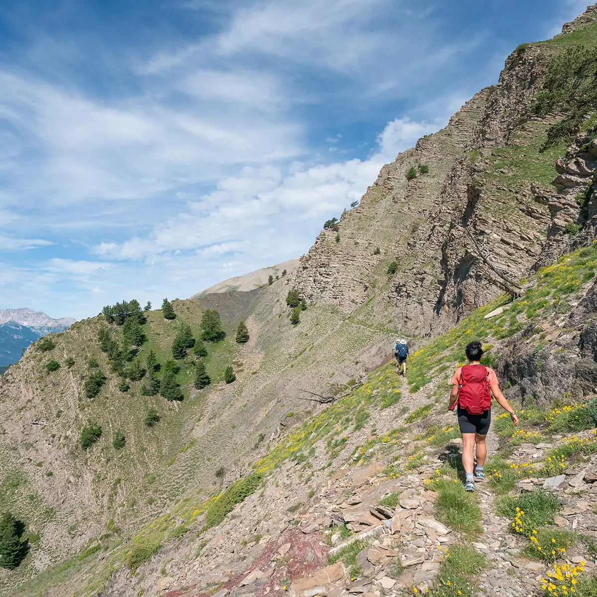Randonnée à Pointe Fine