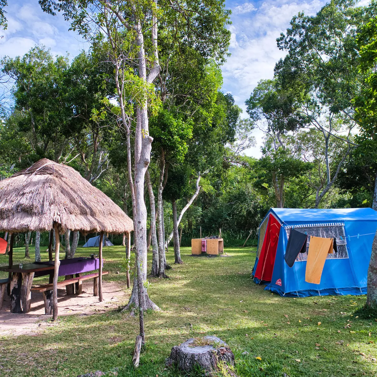 Aire aménagé - Camping du Gîte Nataiwatch