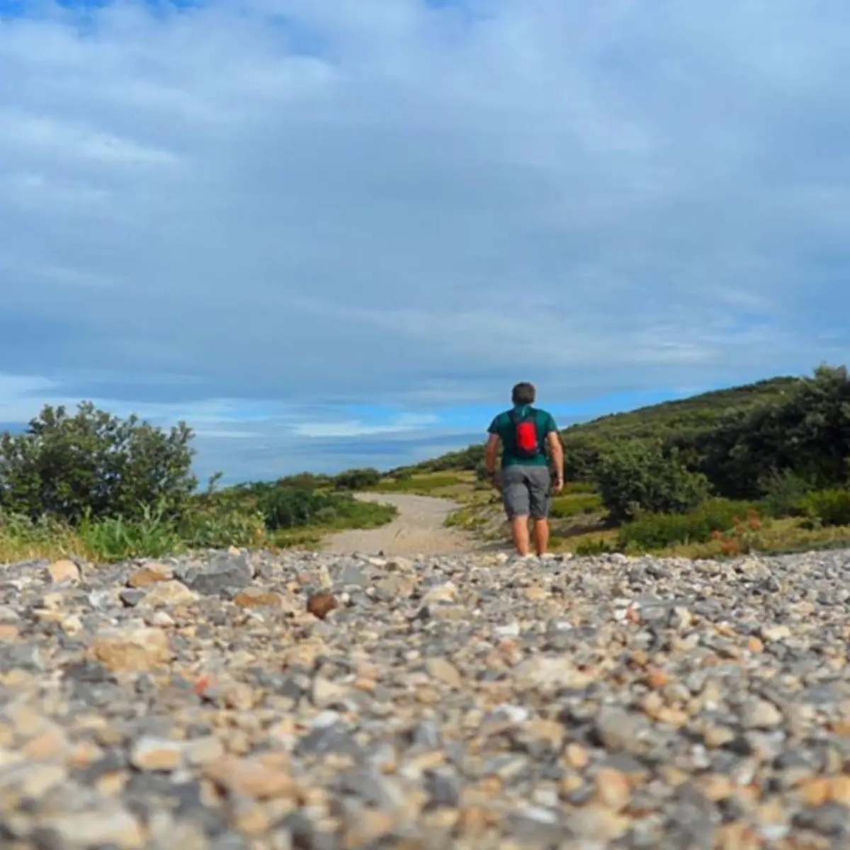 A la découverte des oiseaux des Alpilles