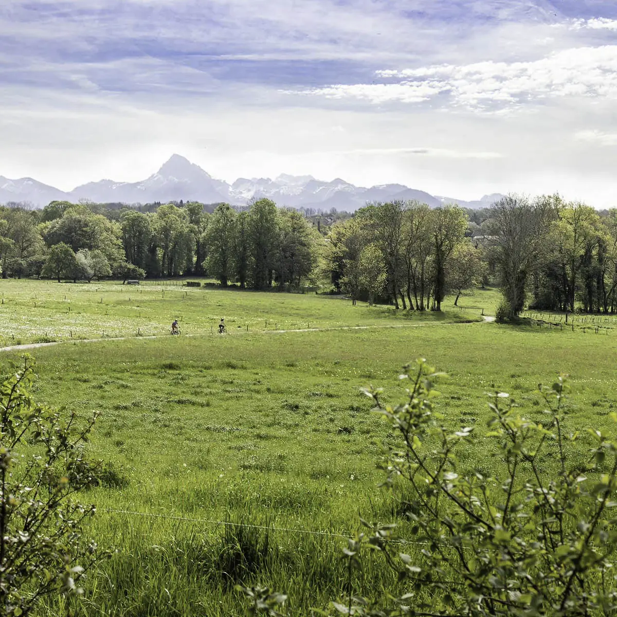 VTT Plateau de Gavot