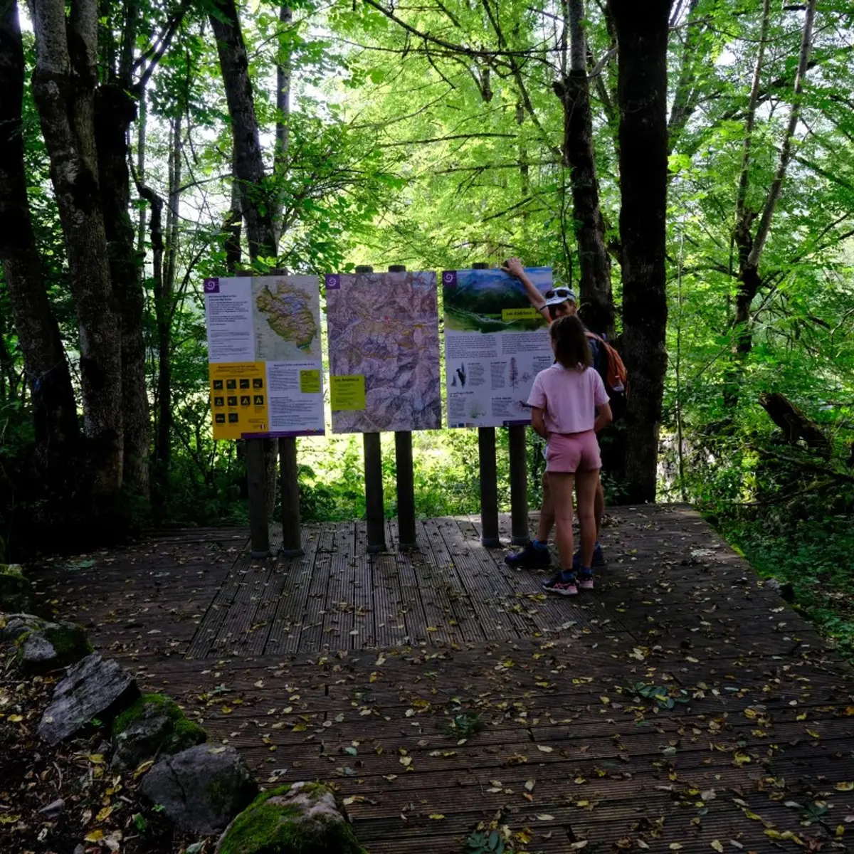 Porte d'entrée de Parc national aux Andrieux, bois des Blancs