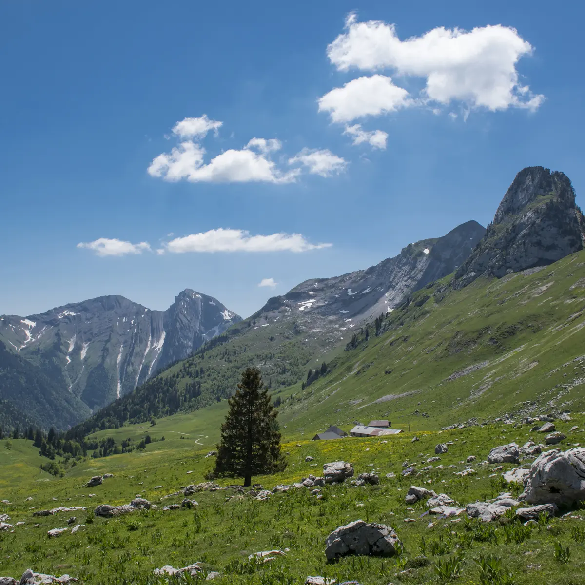 Col d'Orgeval