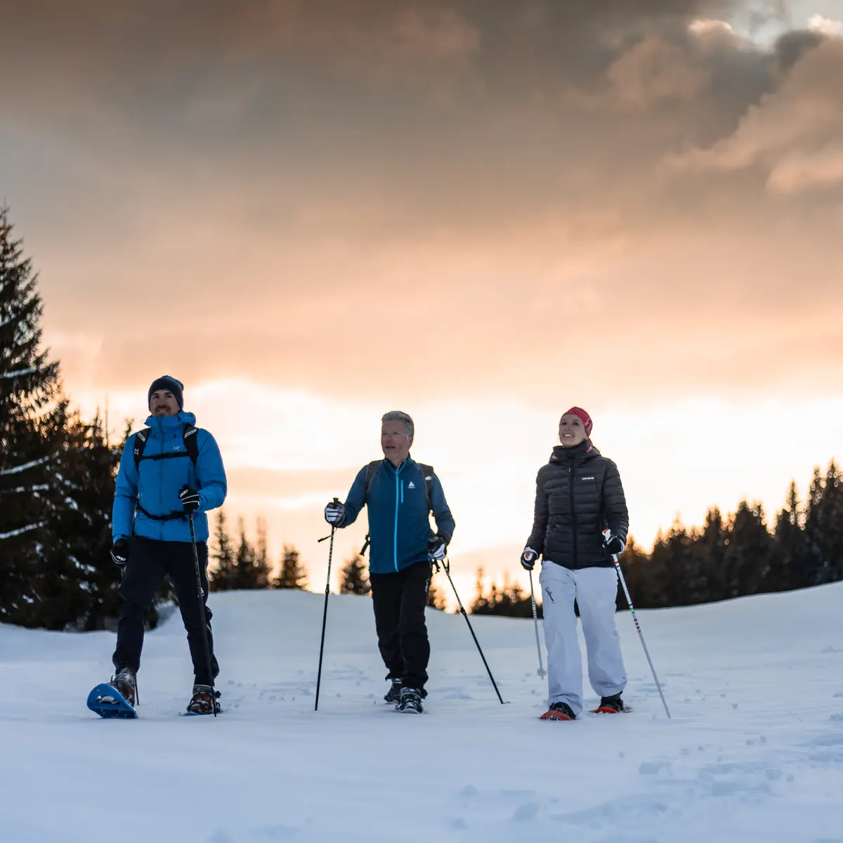 Sentiers raquettes au Grand-Bornand 32 : Sur Frêtes