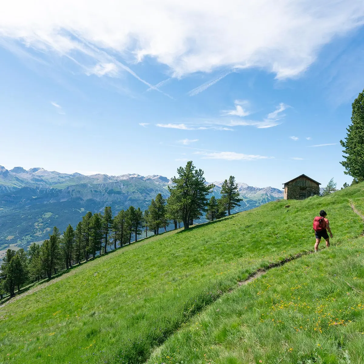 Randonnée à Pointe Fine