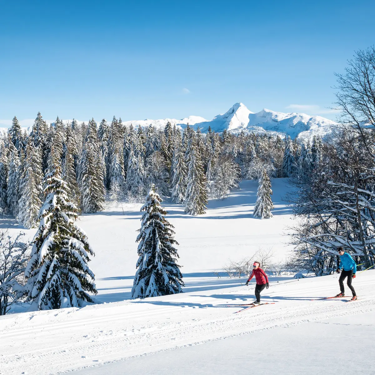 Site nordique du Haut Vercors/Porte de Villard De Lans