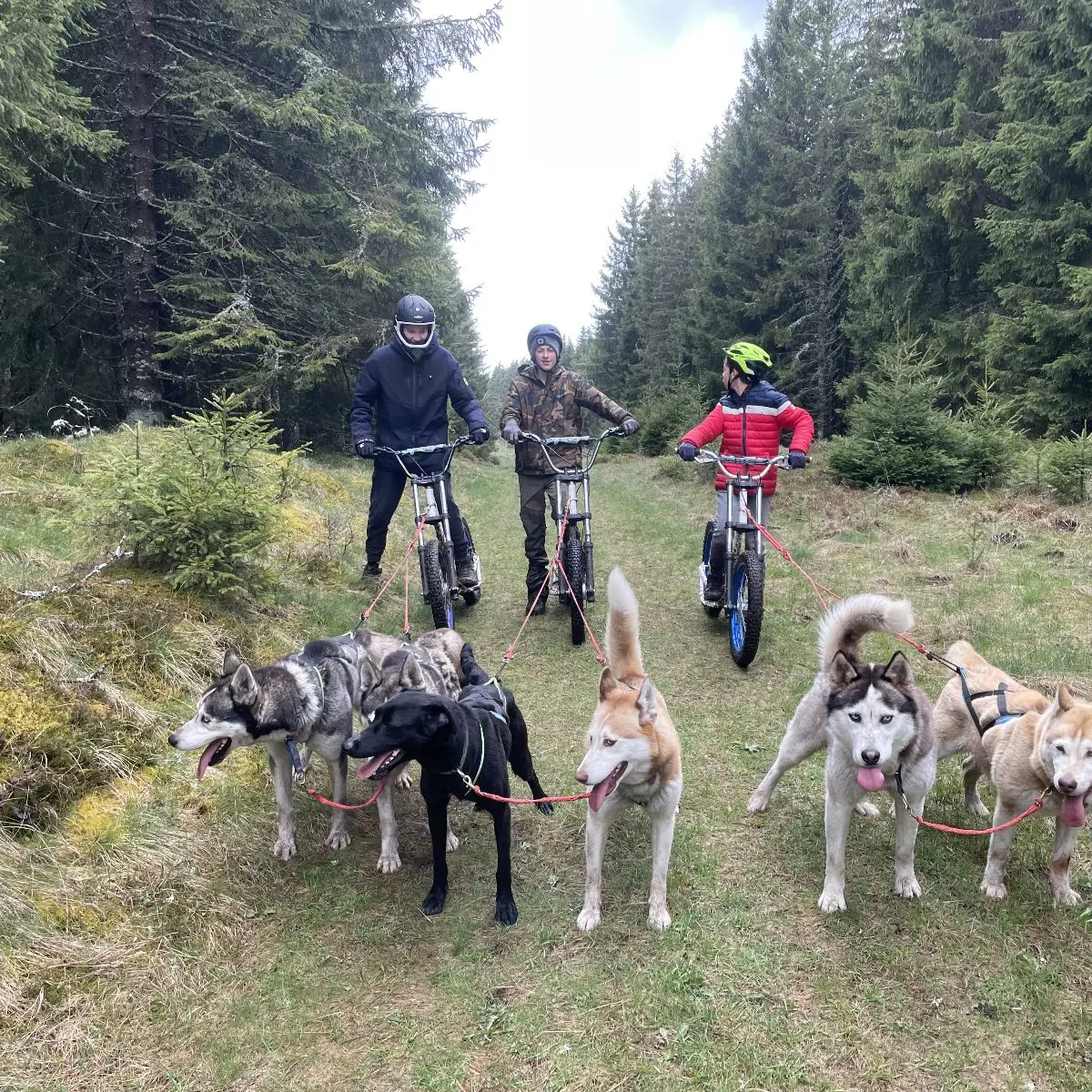 Dog Scooter - Evolution 2_Chamonix-Mont-Blanc