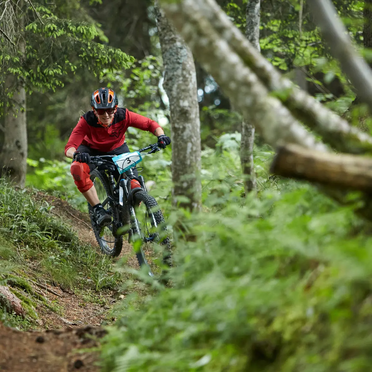 VTTiste descendant une piste