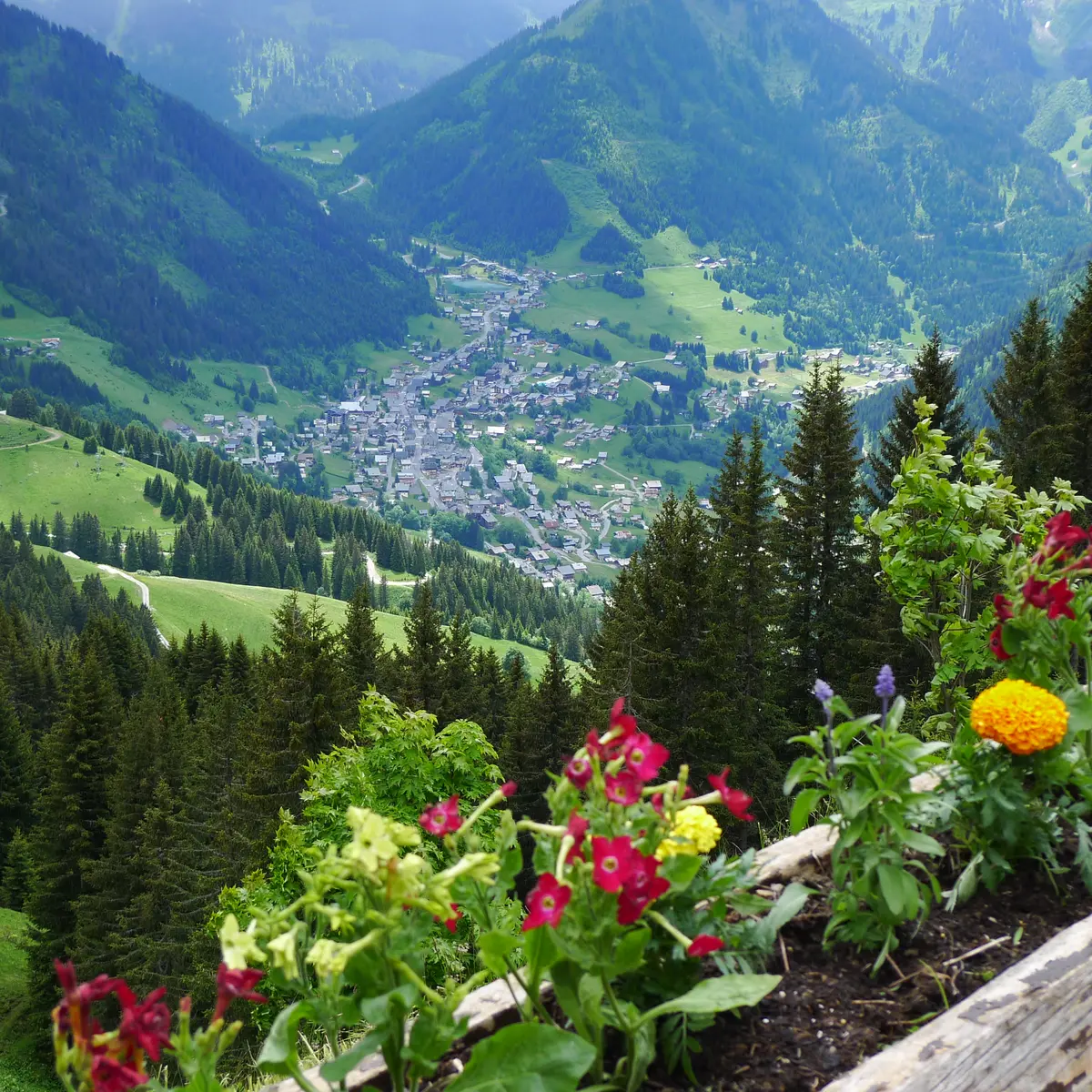 Petit Châtel