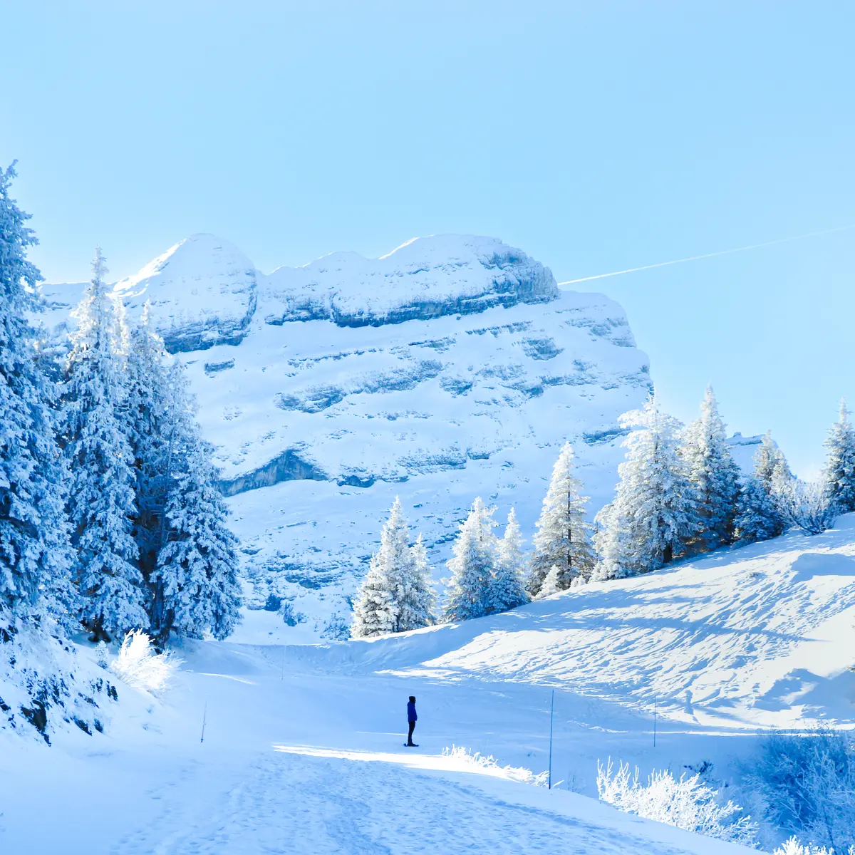 Sortie accompagnée en randonnée raquette au Col de Pierre Carrée