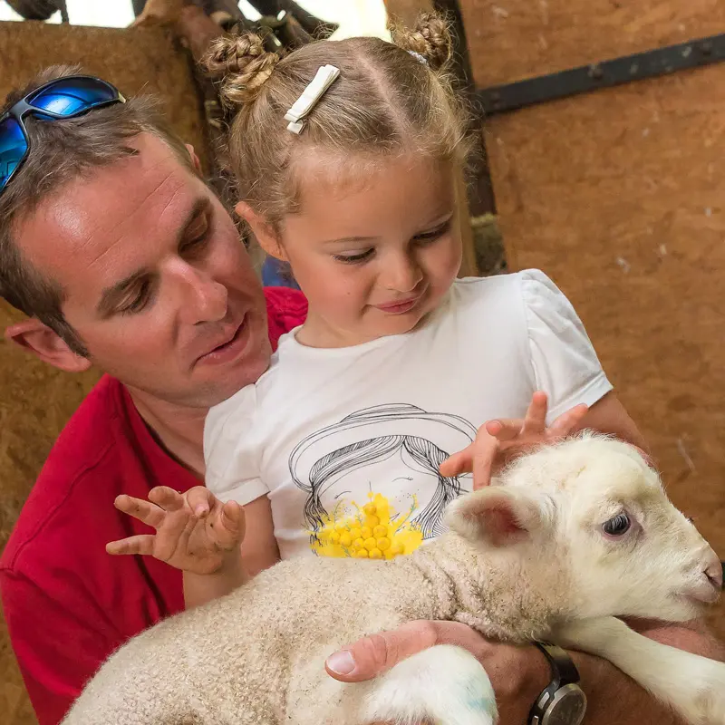 Visite de la ferme pédagogique GAEC du Caïre, Chaillol, vallée du Champsaur