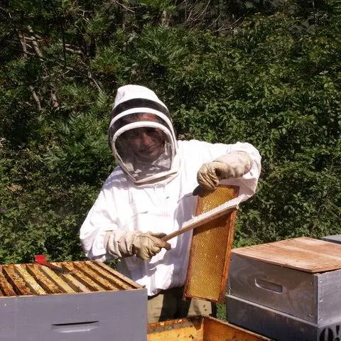 Le Rucher des Anges CHORGES