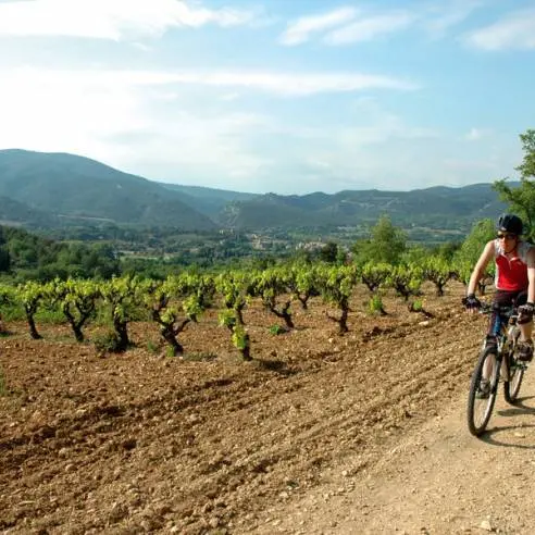 Parcours VTT Cadenet