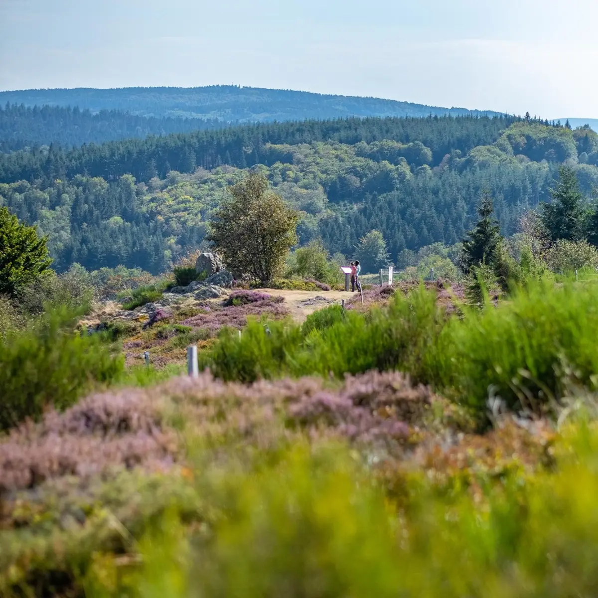 Plateau de la Verrerie