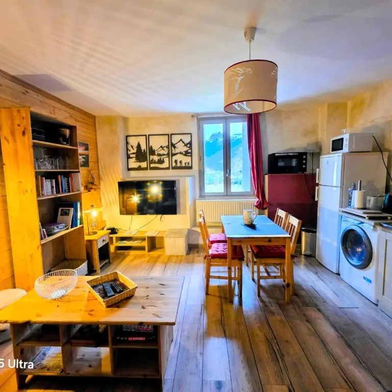 Le petit coin au bord du lac_Doussard