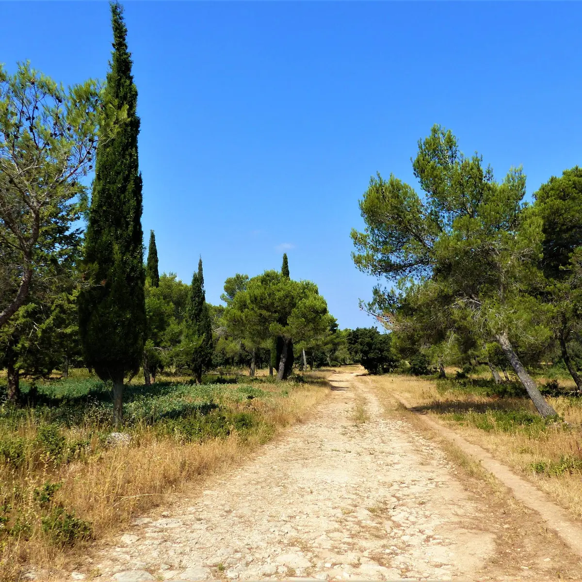 Piste DFCI du Planet