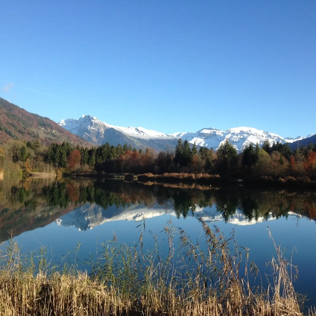 Lac privé pour le ski nautique