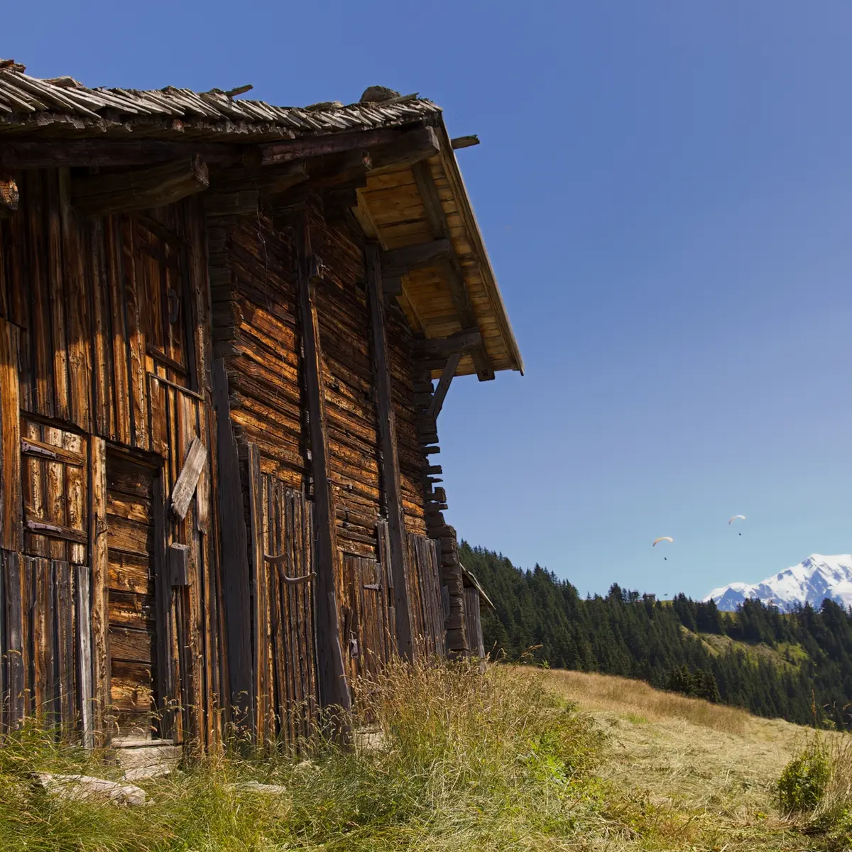 Authentique ferme d'alpage