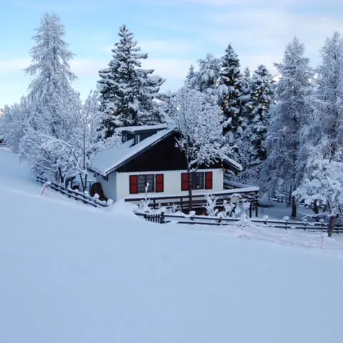 Grand chalet sur les pistes