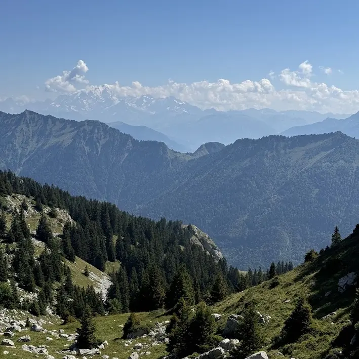 Randonnée pédestre : Boucle de la Petite Sambuy par le Pas de l'Ours_Faverges-Seythenex