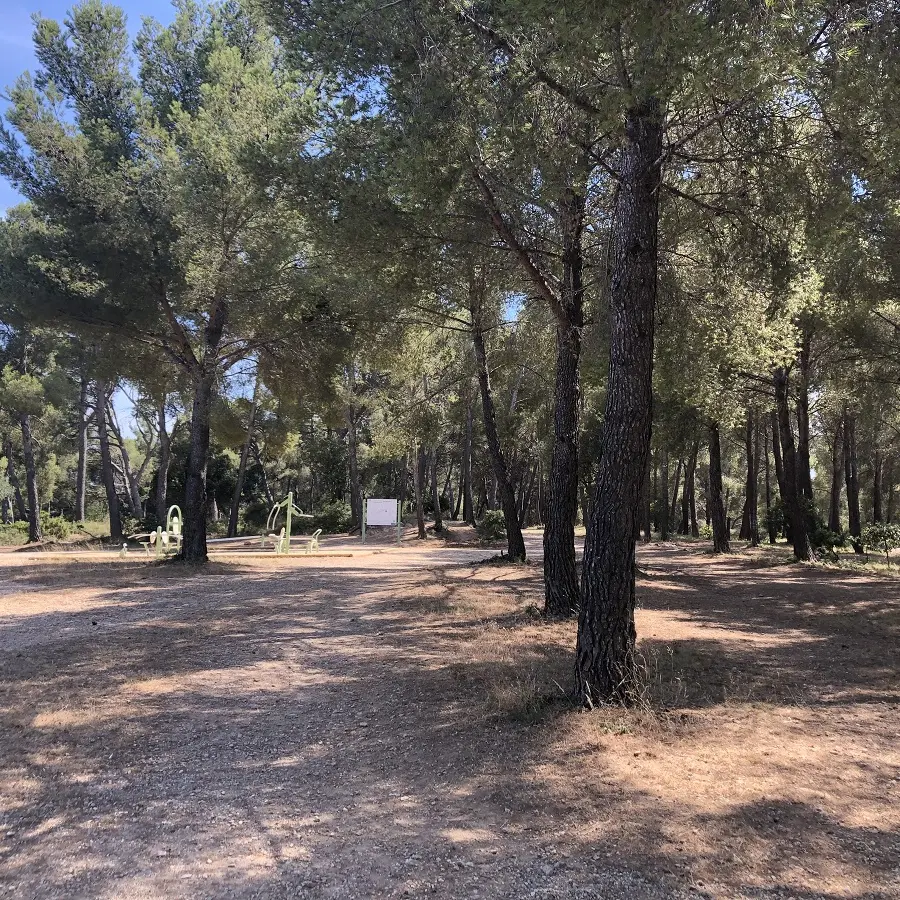 Crapa de la Vernette